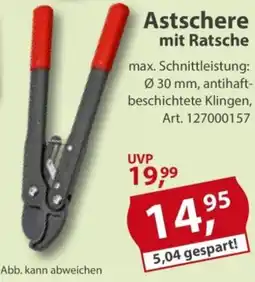 Sonderpreis Baumarkt Astschere mit Ratsche Angebot