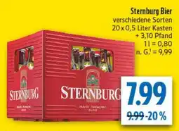 diska Sternburg Bier Angebot