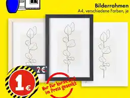 TEDi Bilderrahmen Angebot