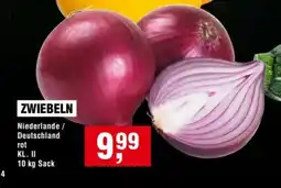 Handelshof ZWIEBELN rot Angebot