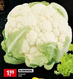 Handelshof BLUMENKOHL Angebot