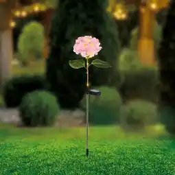 NKD Solar-Stab Blume, Höhe ca. 70 cm Angebot