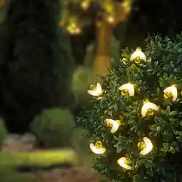 NKD Solar-Lichterkette mit Erdspieß Angebot