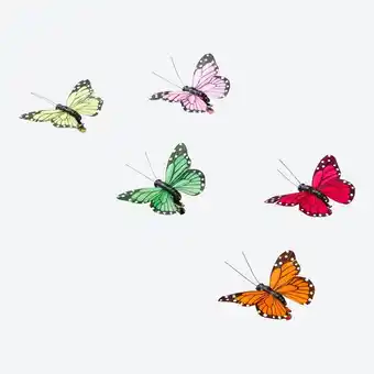 NKD Deko-Schmetterlinge mit Klammer, ca. 8x6x1,5 cm Angebot