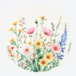 NKD Platzset mit Druck, Ø ca. 38 cm Angebot