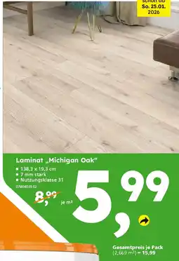 Globus Baumarkt Laminat,,Michigan Oak" Angebot