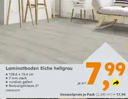 Globus Baumarkt Laminatboden Eiche hellgrau Angebot