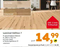 Globus Baumarkt Laminat Edition 7 Angebot