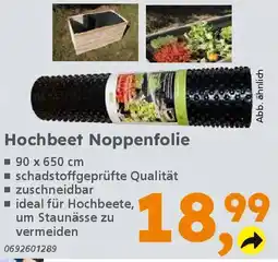 Globus Baumarkt Hochbeet Noppenfolie Angebot