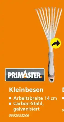Globus Baumarkt PRIMASTER Kleinbesen Angebot