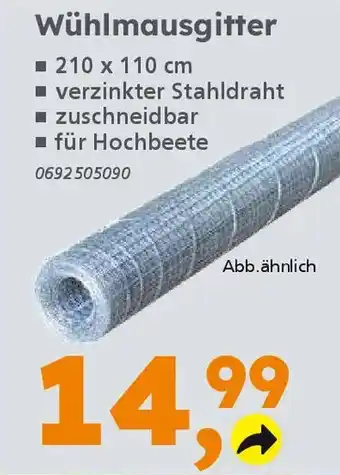 Globus Baumarkt Wühlmausgitter Angebot