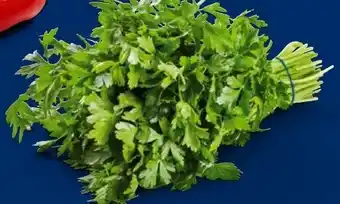 Lidl Petersilien Angebot