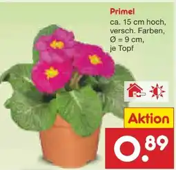 Netto Marken-Discount Primeln Angebot