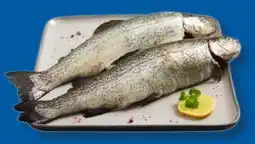 Lidl Fischerstolz Regenbogenforelle Angebot