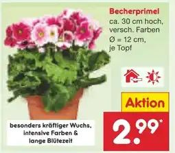 Netto Marken-Discount Becherprimeln Angebot