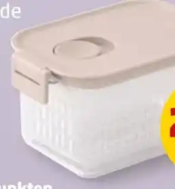 PENNY Brabantia Kühlschrank Frischhalteboxen Angebot