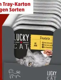 PENNY Lucky Cat Schalenmenüs Angebot