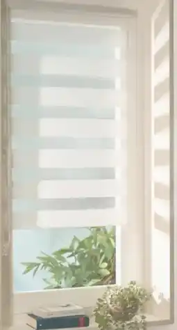 PENNY Fensterdoppelrollo Welle Angebot