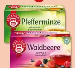 PENNY Teekanne Kräutertee Pfefferminze Angebot
