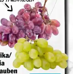 AEZ Tafeltrauben Angebot