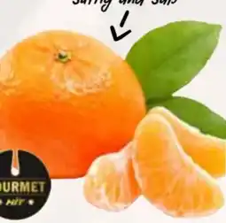 AEZ Gourmet Hit Mandarinen Angebot