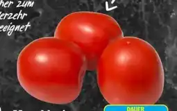AEZ Romatomaten Angebot