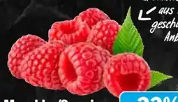 AEZ Himbeeren Angebot