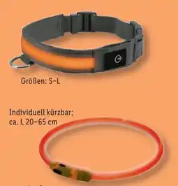 Lidl zoofari LED-Hundehalsband Angebot