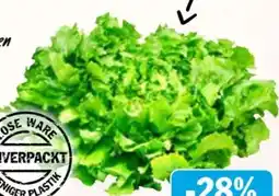 AEZ Endiviensalat Angebot