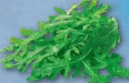 nahkauf Rucola Angebot