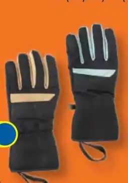Lidl Crivit Sport Handschuhe Angebot