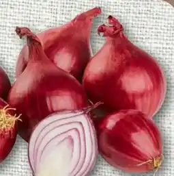 nahkauf Rewe Beste Wahl Speisezwiebeln Angebot