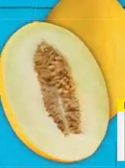 E-Center Honigmelone Angebot