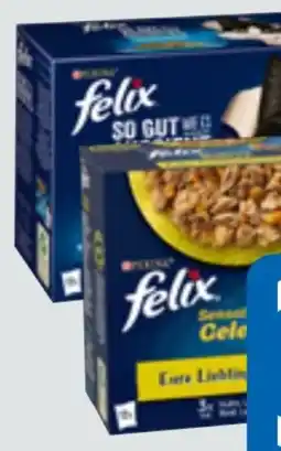 Edeka Xpress Purina Felix Katzennahrung Angebot