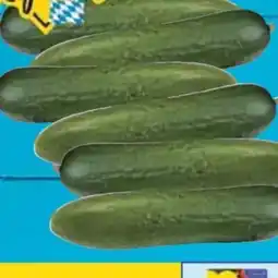 E-Center Minigurken Angebot