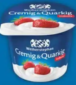 E-Center Weihenstephan Fruchtquark Angebot