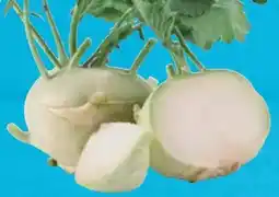 E-Center Kohlrabi Angebot
