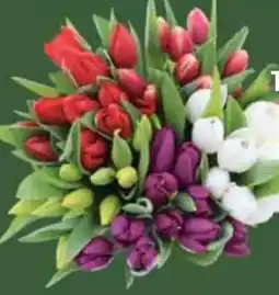 E-Center Edeka Herzstücke Tulpen-Strauß Angebot