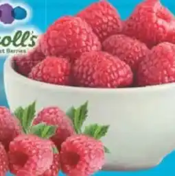 E-Center Driscoll's Himbeeren Angebot