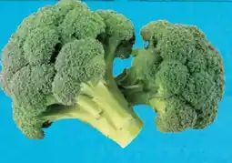 E-Center Gut & Günstig Brokkoli Angebot