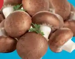 E-Center Champignons Angebot