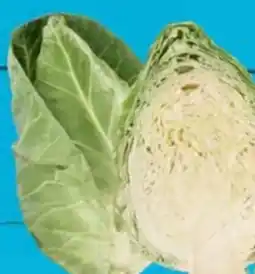 E-Center Spitzkohl Angebot