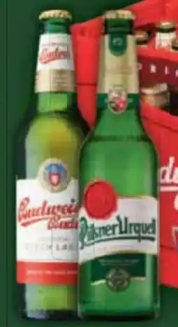 E-Center Budweiser Budvar (CZ) Premium Lager Angebot