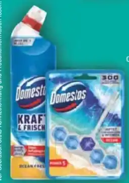 E-Center Domestos WC-Stein Angebot