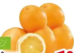 Edeka Bio Orangen Navelinas Angebot