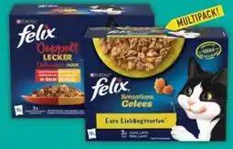E-Center Purina Felix Katzennahrung Angebot