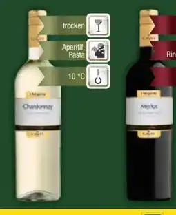 E-Center Cavit Pinot Grigio Angebot