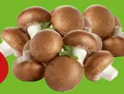 Edeka Gut & Günstig Frische Champignons Angebot
