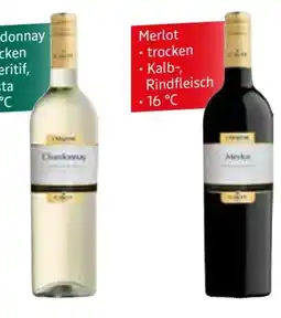 Edeka Cavit Pinot Grigio Angebot