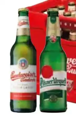 Edeka Budweiser Budvar (CZ) Premium Lager Angebot